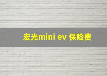 宏光mini ev 保险费